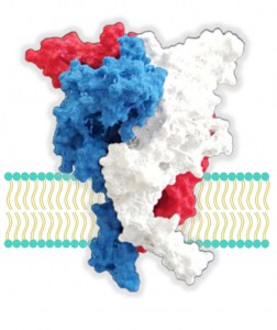 Bioceptre image