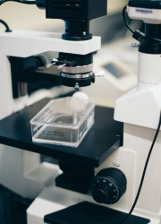Manchester Biotech image