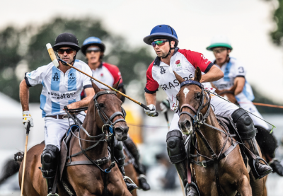 polo image