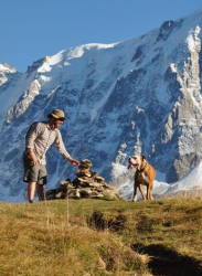 trusted housesitters image