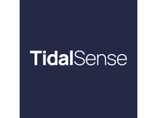 Tidal sense Logo