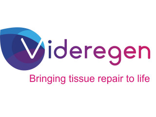 Videregen