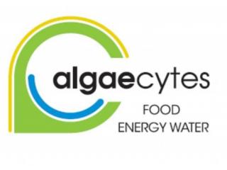 algeacytes logo